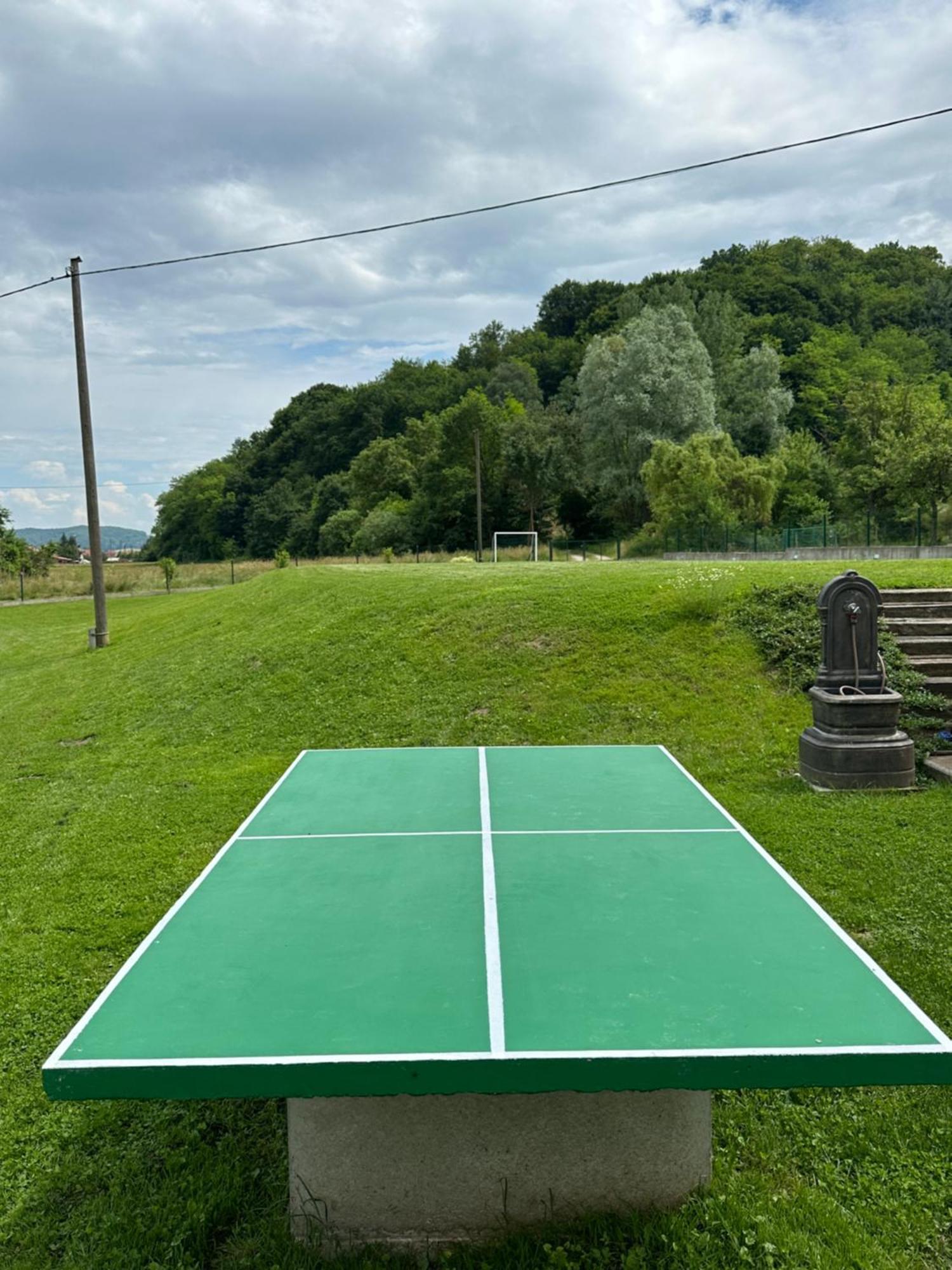 Ruralna Kuca 'Villa Zagorka' Za Odmor Sa Bazenom I Bocalistem Donja Pacetina Экстерьер фото
