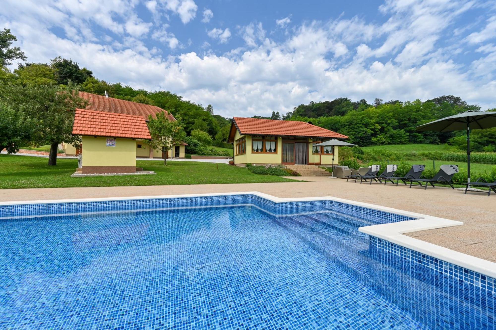 Ruralna Kuca 'Villa Zagorka' Za Odmor Sa Bazenom I Bocalistem Donja Pacetina Экстерьер фото